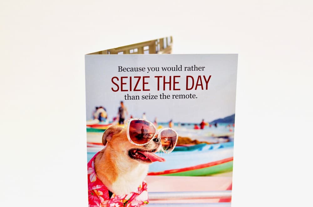 seize the day - senior marketing