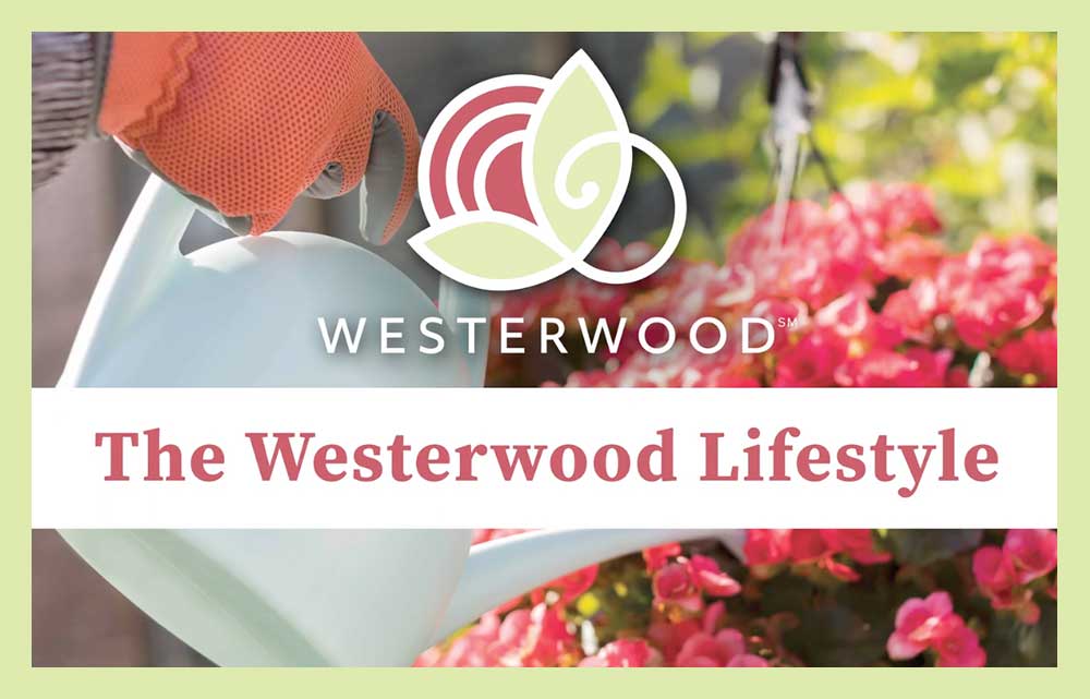Westerwood Lifestyle Video